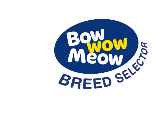 Bow Wow