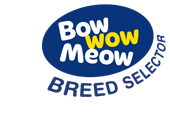 Bow Wow