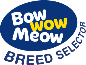 BowwowMeow Logo